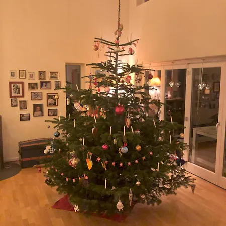 Spacious For Christmas Holiday, Close To Copenhagen Вилла *